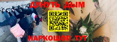 ПСИЛОЦИБИНОВЫЕ ГРИБЫ Обь
