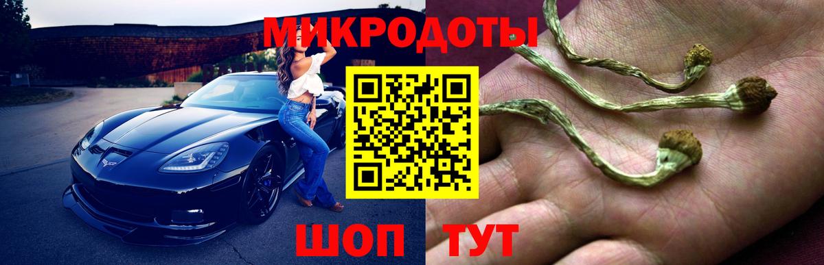 Псилоцибиновые грибы мухоморы Сертолово